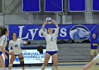 Wheaton Women's Volleyball  Wheaton Women's Volleyball vs Endicott College. - Photo by Keith Nordstrom : Wheaton, Volleyball, VB