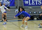 Wheaton Women's Volleyball  Wheaton Women's Volleyball vs Endicott College. - Photo by Keith Nordstrom : Wheaton, Volleyball, VB