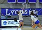 Wheaton Women's Volleyball  Wheaton Women's Volleyball vs Endicott College. - Photo by Keith Nordstrom : Wheaton, Volleyball, VB