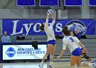 Wheaton Women's Volleyball  Wheaton Women's Volleyball vs Endicott College. - Photo by Keith Nordstrom : Wheaton, Volleyball, VB