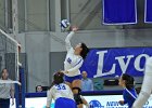Wheaton Women's Volleyball  Wheaton Women's Volleyball vs Endicott College. - Photo by Keith Nordstrom : Wheaton, Volleyball, VB