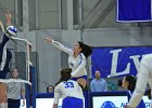 Wheaton Women's Volleyball  Wheaton Women's Volleyball vs Endicott College. - Photo by Keith Nordstrom : Wheaton, Volleyball, VB
