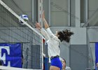 Wheaton Women's Volleyball  Wheaton Women's Volleyball vs Endicott College. - Photo by Keith Nordstrom : Wheaton, Volleyball, VB