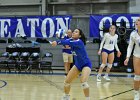 Wheaton Women's Volleyball  Wheaton Women's Volleyball vs Endicott College. - Photo by Keith Nordstrom : Wheaton, Volleyball, VB