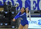 Wheaton Women's Volleyball  Wheaton Women's Volleyball vs Endicott College. - Photo by Keith Nordstrom : Wheaton, Volleyball, VB