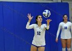 Wheaton Women's Volleyball  Wheaton Women's Volleyball vs Endicott College. - Photo by Keith Nordstrom : Wheaton, Volleyball, VB