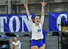 Wheaton Women's Volleyball  Wheaton Women's Volleyball vs Endicott College. - Photo by Keith Nordstrom : Wheaton, Volleyball, VB
