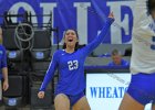 Wheaton Women's Volleyball  Wheaton Women's Volleyball vs Endicott College. - Photo by Keith Nordstrom : Wheaton, Volleyball, VB