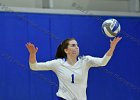 Wheaton Women's Volleyball  Wheaton Women's Volleyball vs Endicott College. - Photo by Keith Nordstrom : Wheaton, Volleyball, VB