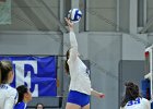 Wheaton Women's Volleyball  Wheaton Women's Volleyball vs Endicott College. - Photo by Keith Nordstrom : Wheaton, Volleyball, VB