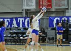 Wheaton Women's Volleyball  Wheaton Women's Volleyball vs Endicott College. - Photo by Keith Nordstrom : Wheaton, Volleyball, VB