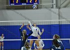 Wheaton Women's Volleyball  Wheaton Women's Volleyball vs Endicott College. - Photo by Keith Nordstrom : Wheaton, Volleyball, VB