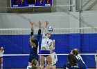 Wheaton Women's Volleyball  Wheaton Women's Volleyball vs Endicott College. - Photo by Keith Nordstrom : Wheaton, Volleyball, VB