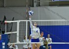 Wheaton Women's Volleyball  Wheaton Women's Volleyball vs Endicott College. - Photo by Keith Nordstrom : Wheaton, Volleyball, VB