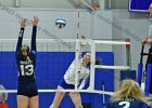 Wheaton Women's Volleyball  Wheaton Women's Volleyball vs Endicott College. - Photo by Keith Nordstrom : Wheaton, Volleyball, VB