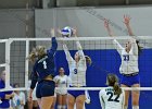 Wheaton Women's Volleyball  Wheaton Women's Volleyball vs Endicott College. - Photo by Keith Nordstrom : Wheaton, Volleyball, VB