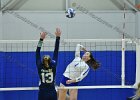 Wheaton Women's Volleyball  Wheaton Women's Volleyball vs Endicott College. - Photo by Keith Nordstrom : Wheaton, Volleyball, VB