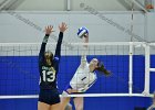 Wheaton Women's Volleyball  Wheaton Women's Volleyball vs Endicott College. - Photo by Keith Nordstrom : Wheaton, Volleyball, VB