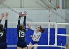 Wheaton Women's Volleyball  Wheaton Women's Volleyball vs Endicott College. - Photo by Keith Nordstrom : Wheaton, Volleyball, VB