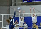Wheaton Women's Volleyball  Wheaton Women's Volleyball vs Endicott College. - Photo by Keith Nordstrom : Wheaton, Volleyball, VB