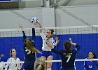 Wheaton Women's Volleyball  Wheaton Women's Volleyball vs Endicott College. - Photo by Keith Nordstrom : Wheaton, Volleyball, VB