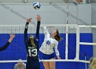 Wheaton Women's Volleyball  Wheaton Women's Volleyball vs Endicott College. - Photo by Keith Nordstrom : Wheaton, Volleyball, VB