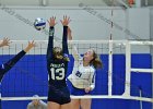 Wheaton Women's Volleyball  Wheaton Women's Volleyball vs Endicott College. - Photo by Keith Nordstrom : Wheaton, Volleyball, VB