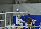 Wheaton Women's Volleyball  Wheaton Women's Volleyball vs Endicott College. - Photo by Keith Nordstrom : Wheaton, Volleyball, VB