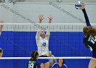 Wheaton Women's Volleyball  Wheaton Women's Volleyball vs Endicott College. - Photo by Keith Nordstrom : Wheaton, Volleyball, VB