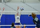 Wheaton Women's Volleyball  Wheaton Women's Volleyball vs Endicott College. - Photo by Keith Nordstrom : Wheaton, Volleyball, VB