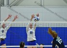 Wheaton Women's Volleyball  Wheaton Women's Volleyball vs Endicott College. - Photo by Keith Nordstrom : Wheaton, Volleyball, VB