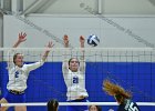 Wheaton Women's Volleyball  Wheaton Women's Volleyball vs Endicott College. - Photo by Keith Nordstrom : Wheaton, Volleyball, VB