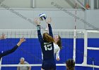Wheaton Women's Volleyball  Wheaton Women's Volleyball vs Endicott College. - Photo by Keith Nordstrom : Wheaton, Volleyball, VB