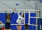 Wheaton Women's Volleyball  Wheaton Women's Volleyball vs Endicott College. - Photo by Keith Nordstrom : Wheaton, Volleyball, VB