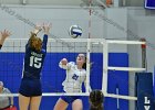 Wheaton Women's Volleyball  Wheaton Women's Volleyball vs Endicott College. - Photo by Keith Nordstrom : Wheaton, Volleyball, VB