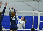 Wheaton Women's Volleyball  Wheaton Women's Volleyball vs Endicott College. - Photo by Keith Nordstrom : Wheaton, Volleyball, VB