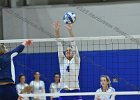 Wheaton Women's Volleyball  Wheaton Women's Volleyball vs Endicott College. - Photo by Keith Nordstrom : Wheaton, Volleyball, VB