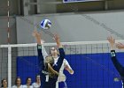 Wheaton Women's Volleyball  Wheaton Women's Volleyball vs Endicott College. - Photo by Keith Nordstrom : Wheaton, Volleyball, VB