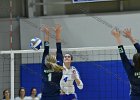 Wheaton Women's Volleyball  Wheaton Women's Volleyball vs Endicott College. - Photo by Keith Nordstrom : Wheaton, Volleyball, VB