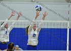 Wheaton Women's Volleyball  Wheaton Women's Volleyball vs Endicott College. - Photo by Keith Nordstrom : Wheaton, Volleyball, VB