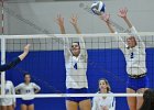 Wheaton Women's Volleyball  Wheaton Women's Volleyball vs Endicott College. - Photo by Keith Nordstrom : Wheaton, Volleyball, VB
