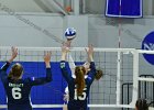 Wheaton Women's Volleyball  Wheaton Women's Volleyball vs Endicott College. - Photo by Keith Nordstrom : Wheaton, Volleyball, VB