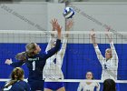 Wheaton Women's Volleyball  Wheaton Women's Volleyball vs Endicott College. - Photo by Keith Nordstrom : Wheaton, Volleyball, VB