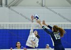 Wheaton Women's Volleyball  Wheaton Women's Volleyball vs Endicott College. - Photo by Keith Nordstrom : Wheaton, Volleyball, VB