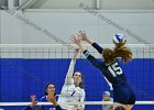 Wheaton Women's Volleyball  Wheaton Women's Volleyball vs Endicott College. - Photo by Keith Nordstrom : Wheaton, Volleyball, VB