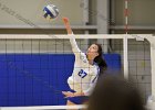 VB vs Springfield  Wheaton Women’s Volleyball vs Springfield College. - Photo by Keith Nordstrom