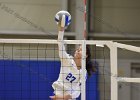 VB vs Springfield  Wheaton Women’s Volleyball vs Springfield College. - Photo by Keith Nordstrom