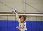 VB vs Springfield  Wheaton Women’s Volleyball vs Springfield College. - Photo by Keith Nordstrom