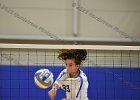 VB vs Springfield  Wheaton Women’s Volleyball vs Springfield College. - Photo by Keith Nordstrom