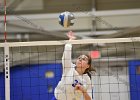 VB vs Springfield  Wheaton Women’s Volleyball vs Springfield College. - Photo by Keith Nordstrom